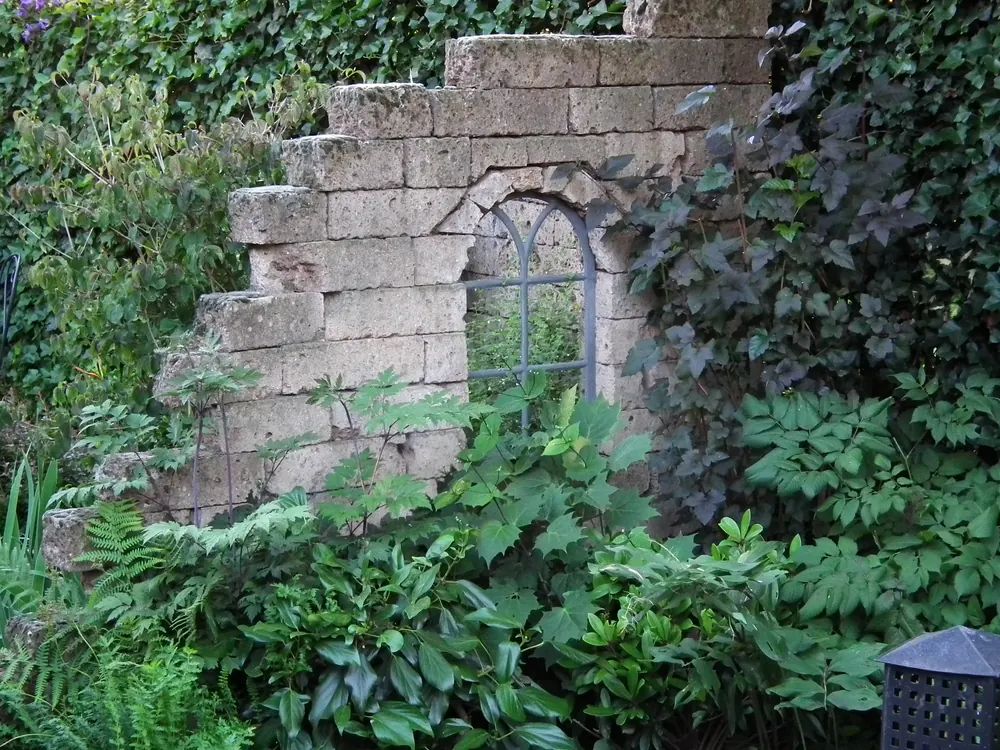 Ruïnemuur van oude bakstenen met een gotisch venster en klimplanten