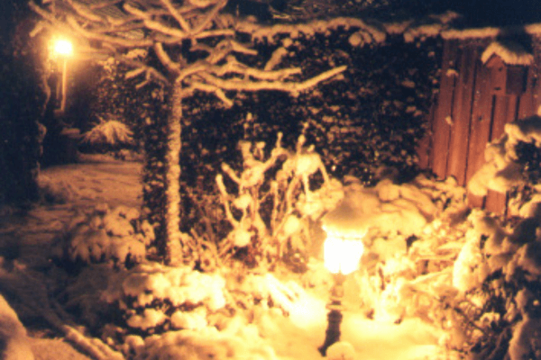 Een sprookjesachtige aanblik: sneeuwbedekking in de achtertuin.