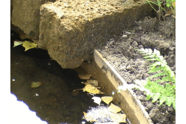 Een vijverpad volgt de natuurlijke bochten van het water
