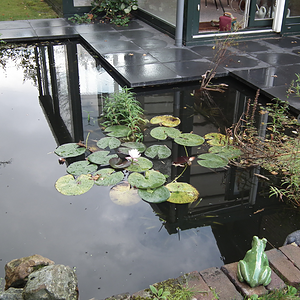 hovenier brummen (11)